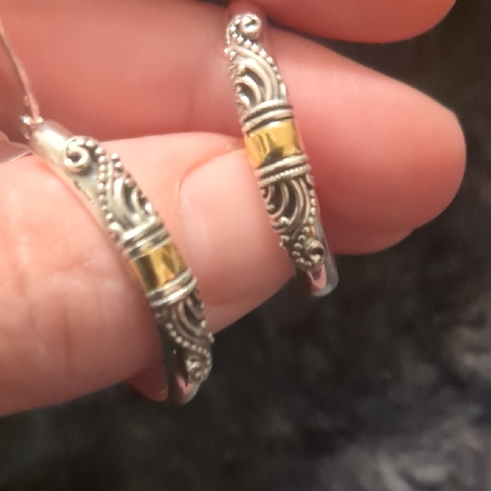 Elegant Silver and Gold Hoop Earrings